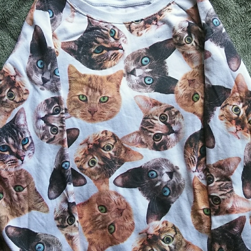 Cat pull over